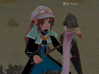 mabinogi_2009_08_08_09.jpg