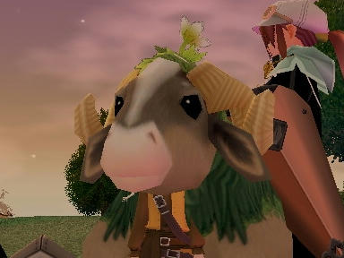 mabinogi_2009_08_08_10.jpg