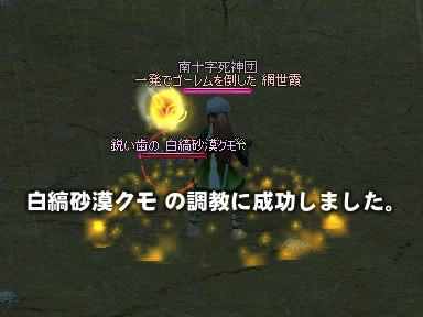 mabinogi_2009_08_13_01.jpg