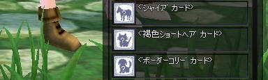 mabinogi_2009_08_14_07.jpg