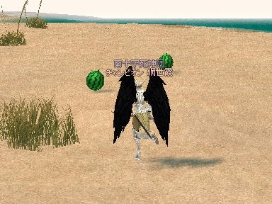 mabinogi_2009_08_15_04.jpg