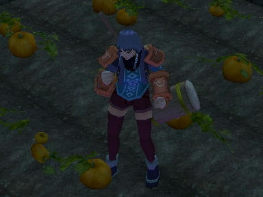 mabinogi_2009_08_17_00.jpg