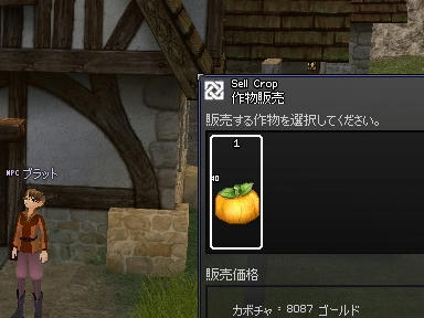 mabinogi_2009_08_25_01.jpg