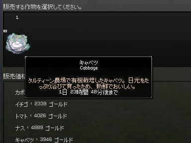 mabinogi_2009_08_31_04.jpg