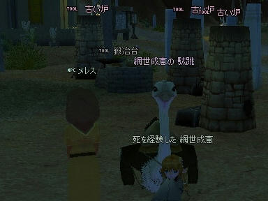mabinogi_2009_09_05_00.jpg