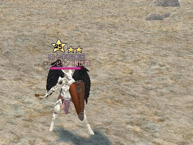 mabinogi_2009_09_06_15.jpg
