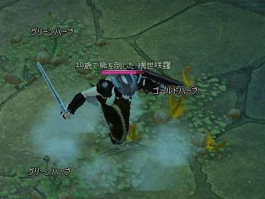 mabinogi_2009_09_08_02.jpg