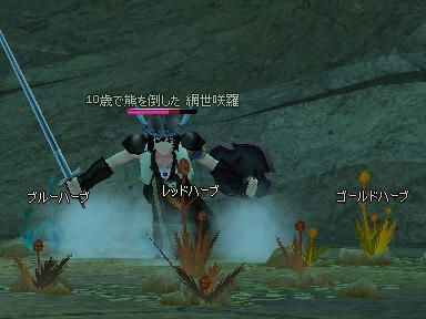 mabinogi_2009_09_08_03.jpg