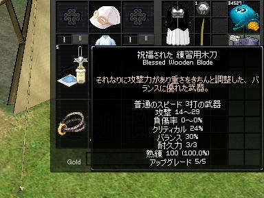 mabinogi_2009_09_09_04.jpg