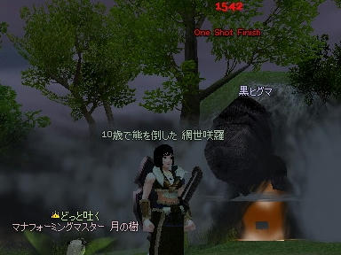 mabinogi_2009_09_11_01.jpg