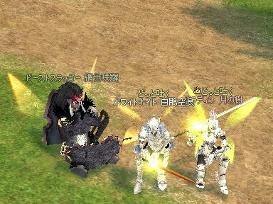 mabinogi_2009_09_11_02.jpg