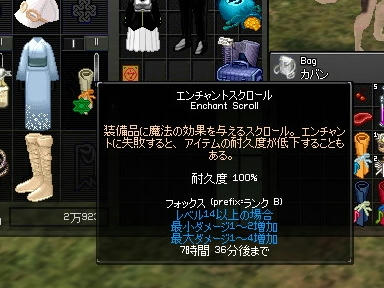 mabinogi_2009_09_11_03.jpg