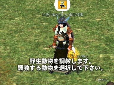 mabinogi_2009_09_12_03.jpg