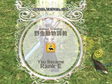 mabinogi_2009_09_12_09.jpg