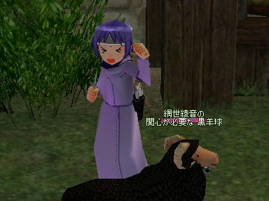 mabinogi_2009_09_13_04.jpg