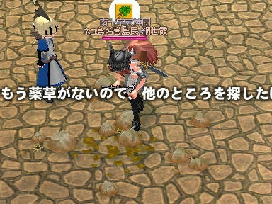 mabinogi_2009_09_22_05.jpg