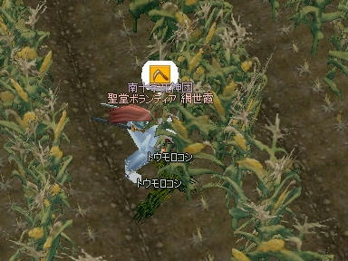 mabinogi_2009_09_23_00.jpg