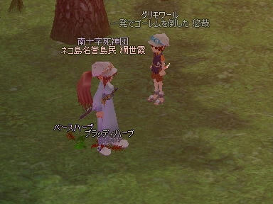 mabinogi_2009_09_24_03.jpg