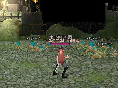 mabinogi_2009_09_26_01.jpg