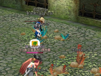mabinogi_2009_09_26_03.jpg
