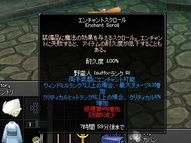 mabinogi_2009_09_27_00.jpg