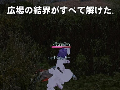 mabinogi_2009_10_03_00.jpg
