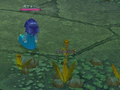 mabinogi_2009_10_03_05.jpg