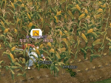 mabinogi_2009_10_05_01.jpg
