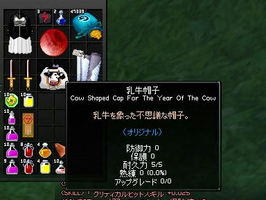 mabinogi_2009_10_07_01.jpg