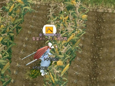 mabinogi_2009_10_09_02.jpg