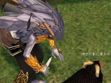 mabinogi_2009_10_12_01.jpg