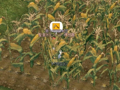 mabinogi_2009_10_18_00.jpg