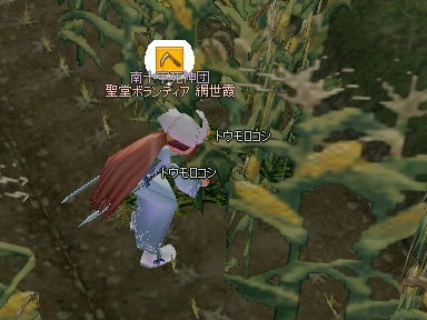 mabinogi_2009_10_21_00.jpg