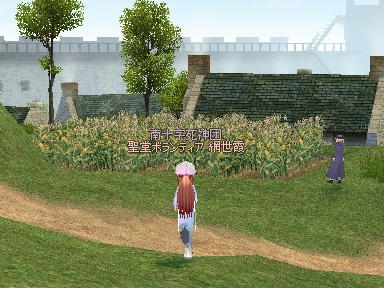mabinogi_2009_10_26_00.jpg