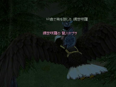 mabinogi_2009_10_27_00.jpg
