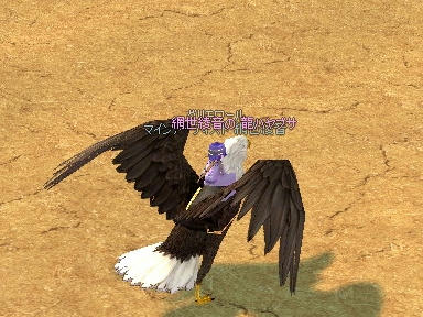 mabinogi_2009_10_28_00.jpg