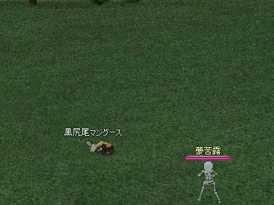 mabinogi_2009_10_31_01.jpg