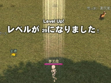 mabinogi_2009_10_31_03.jpg
