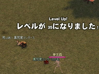 mabinogi_2009_11_01_01.jpg