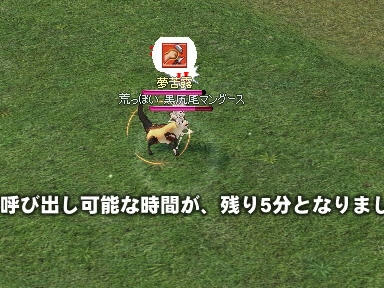 mabinogi_2009_11_02_02.jpg