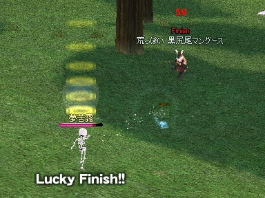 mabinogi_2009_11_03_00.jpg
