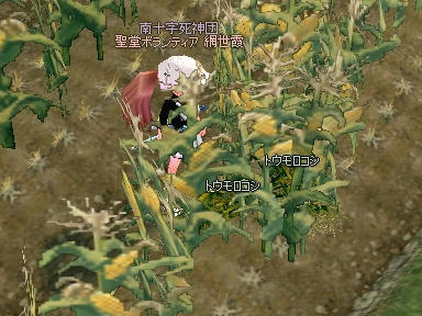 mabinogi_2009_11_03_03.jpg