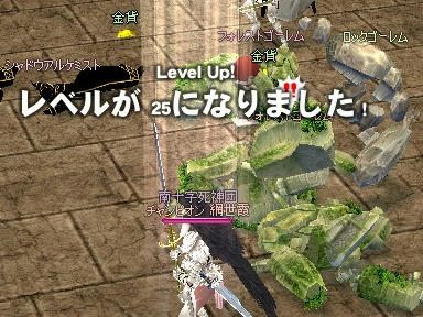 mabinogi_2009_11_03_04.jpg