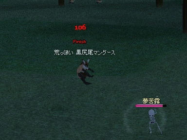 mabinogi_2009_11_04_00.jpg