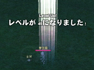 mabinogi_2009_11_04_03.jpg