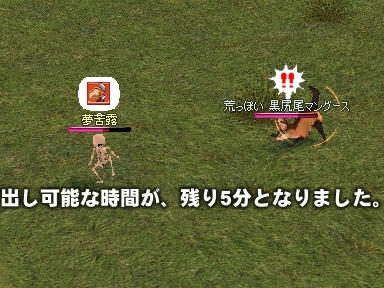 mabinogi_2009_11_05_03.jpg