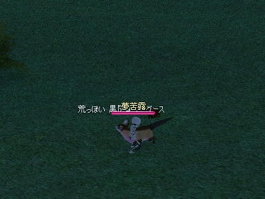 mabinogi_2009_11_06_00.jpg