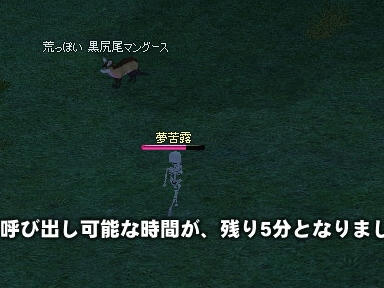 mabinogi_2009_11_06_02.jpg