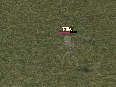 mabinogi_2009_11_06_03.jpg