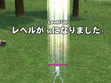 mabinogi_2009_11_07_01.jpg